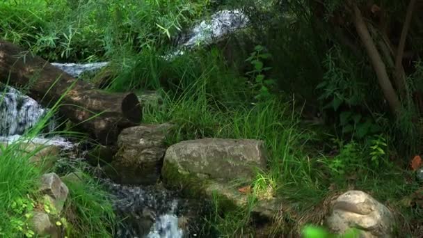 Маленька Струмка Вода Природі — стокове відео