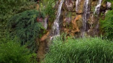 Doğada Little Creek Suyu 