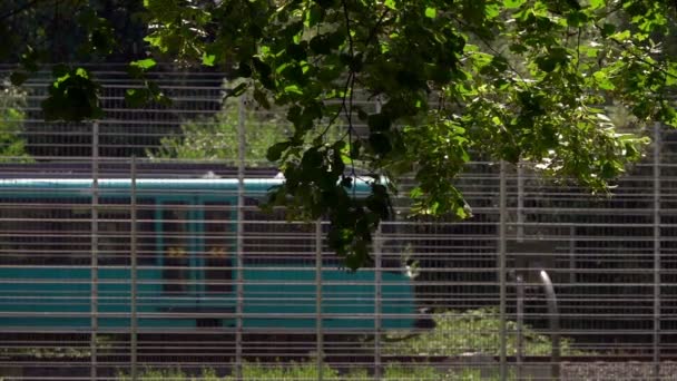 Trein Het Passeren Van Spoor Bomen — Stockvideo