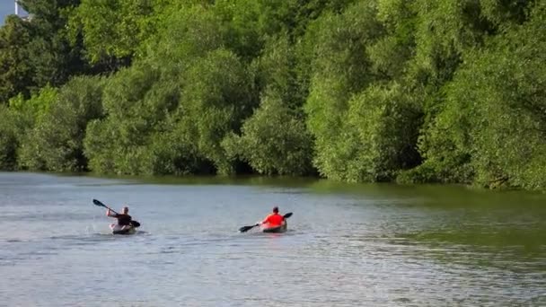 Desporto Canoa Natureza — Vídeo de Stock