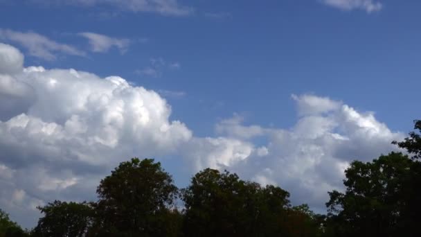 Árboles Nubes Tiempo Caducidad — Vídeo de stock