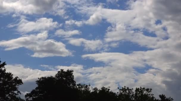 Árvores Nuvens Time Lapse — Vídeo de Stock