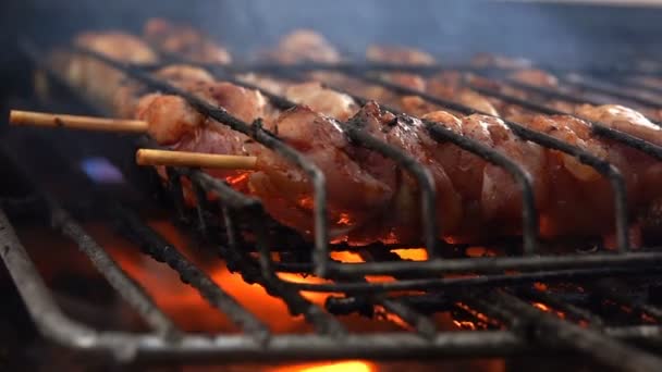 石炭火のバーベキューで肉料理 — ストック動画
