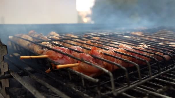 Cottura Della Carne Sul Barbecue Del Fuoco Del Carbone — Video Stock