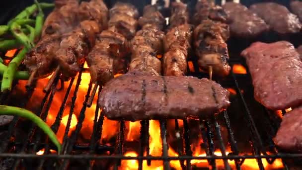 Cottura Della Carne Sul Barbecue Del Fuoco Del Carbone — Video Stock