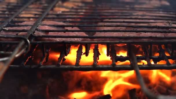 Cuisson Viande Sur Barbecue Feu Charbon — Video