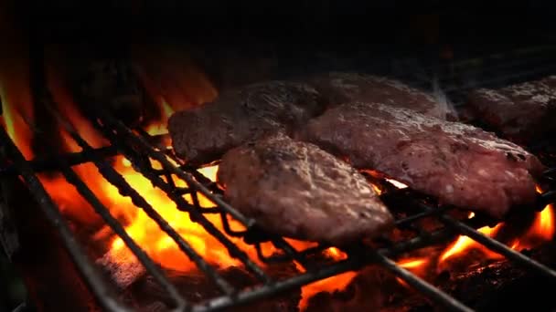 Cottura Della Carne Sul Barbecue Del Fuoco Del Carbone — Video Stock