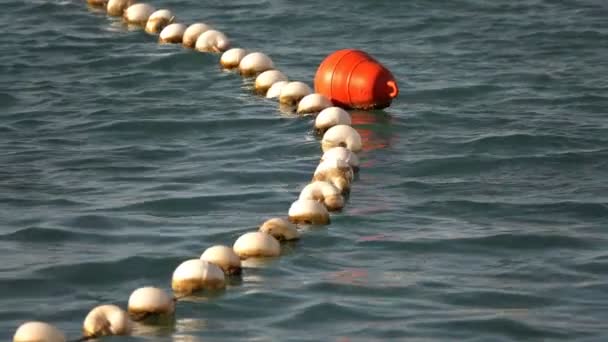 Boje Und Fischnetz Auf Meerwasser — Stockvideo