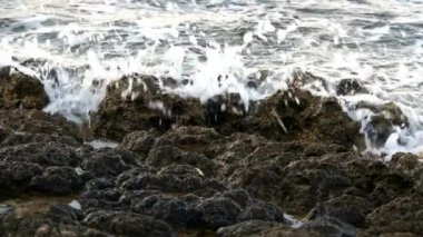 Sahil Dalgalar ve Kayalar