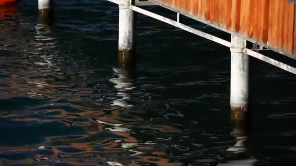 Das Dock Und Die Reflexion Auf See — Stockvideo
