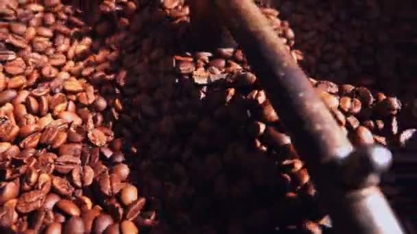 焙煎機のコーヒー — ストック動画