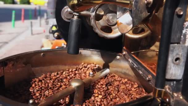 Café Máquina Asar — Vídeo de stock