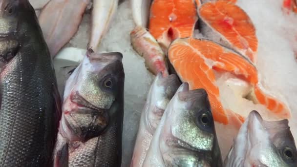 魚屋の氷の上の魚 — ストック動画