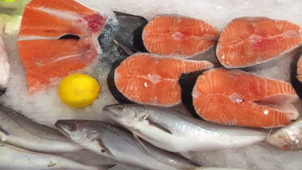 Balık Mağazasında Buzda Balıklar — Stok video