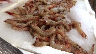 Balık Mağazasında Karides Buzda