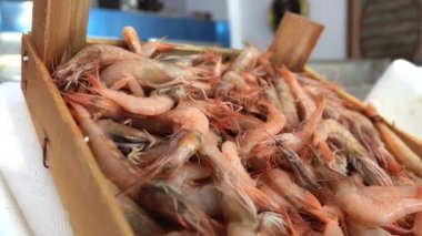 Balık Mağazasında Karides Buzda