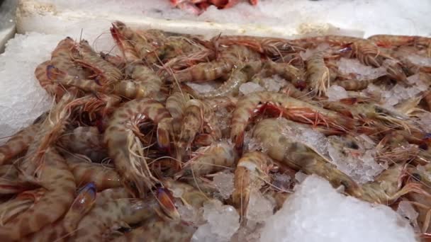 Camarones Sobre Hielo Tienda Pescado — Vídeos de Stock