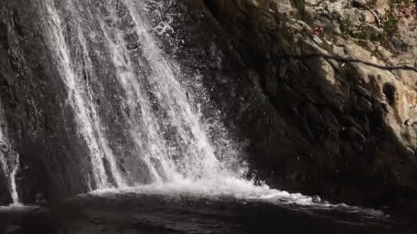 Vue Cascade Dans Nature — Video