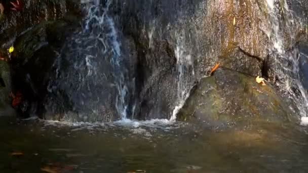 Blick Auf Wasserfall Der Natur — Stockvideo