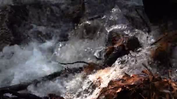 Вид Водопад Природе — стоковое видео