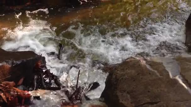 Uitzicht Waterval Natuur — Stockvideo