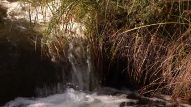 Doğada Şelale Görünümü 