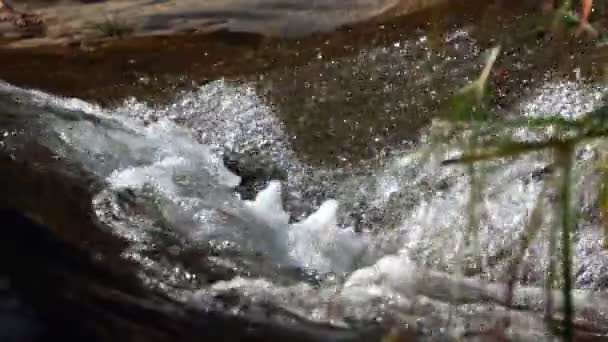 Vue Cascade Dans Nature — Video