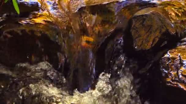 Vue cascade dans la nature  
