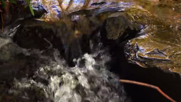 Vista Sulla Cascata Natura — Video Stock