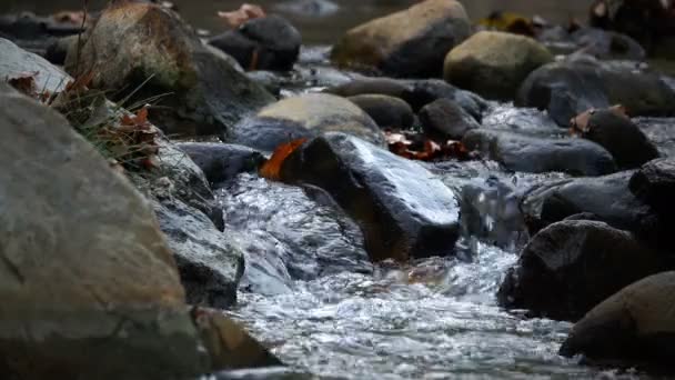 Uitzicht Waterval Natuur — Stockvideo