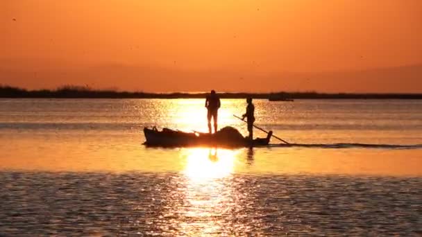 Solnedgång Och Fiskebåt Lugna Havet — Stockvideo