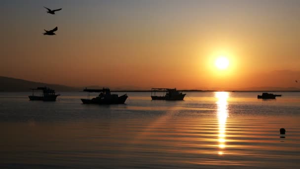 Ηλιοβασίλεμα Και Αλιευτικά Σκάφη Στην Ήρεμη Θάλασσα — Αρχείο Βίντεο