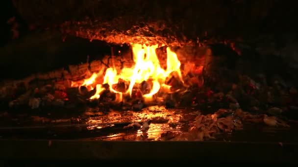 Ξύλινη Φωτιά Και Κρέας — Αρχείο Βίντεο