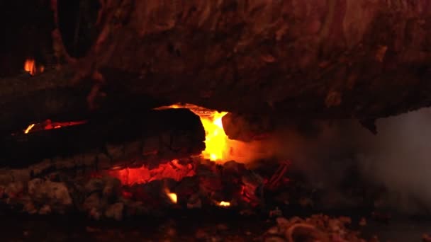 Incêndio Madeira Carne — Vídeo de Stock