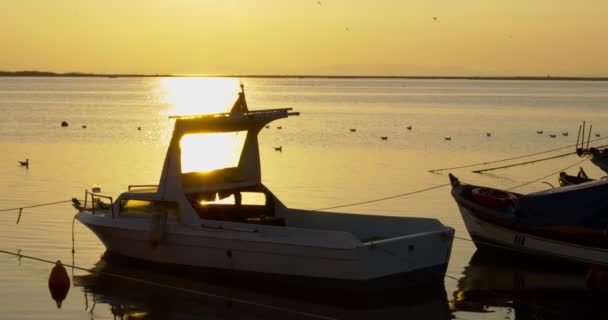 Barco Luz Solar Mar Calmo — Vídeo de Stock