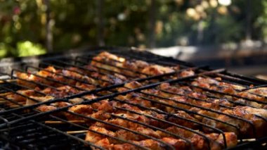 Barbekü Ateşinde Tavuk eti 