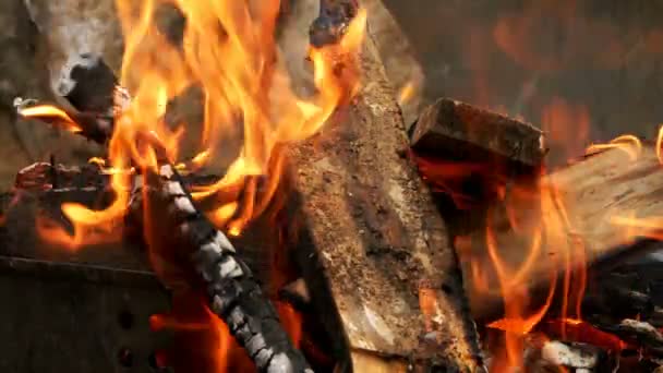 Fiamme Fuoco Fumo Legno — Video Stock