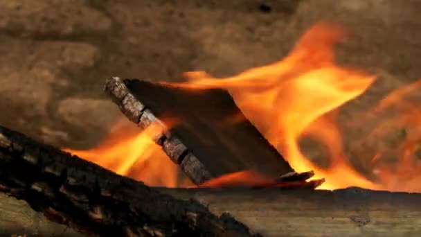 Vlammen Rook Van Hout — Stockvideo