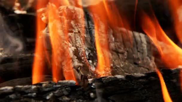 Fiamme Fuoco Fumo Legno — Video Stock