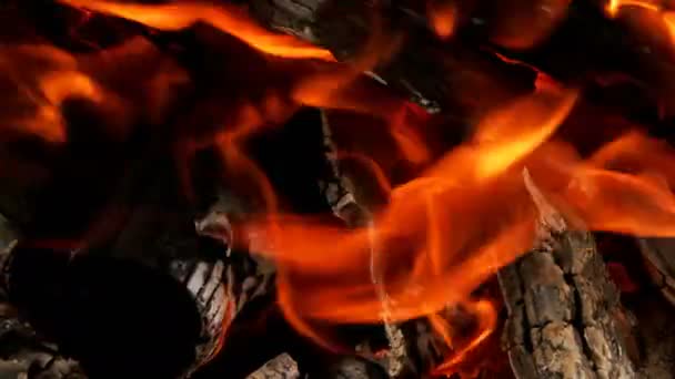Llamas Fuego Madera Humo — Vídeos de Stock