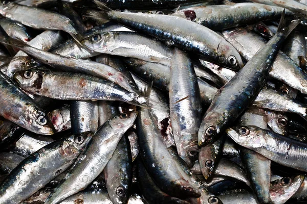 Сирі Свіжі Морепродукти Риби Ринку Детальна Фотографія — стокове фото