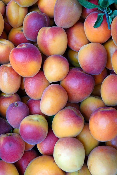 Organické Ovoce Šťavnaté Meruňky Vysoké Podrobné Potraviny Foto — Stock fotografie