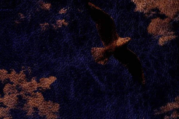 Animal Bird Seagull Leather Composition Photo — Stock Photo, Image