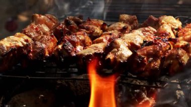 Tavuk Barbekü Ateşi ve Duman