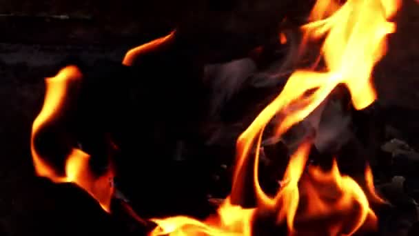 Pożar Węgla Grillu — Wideo stockowe