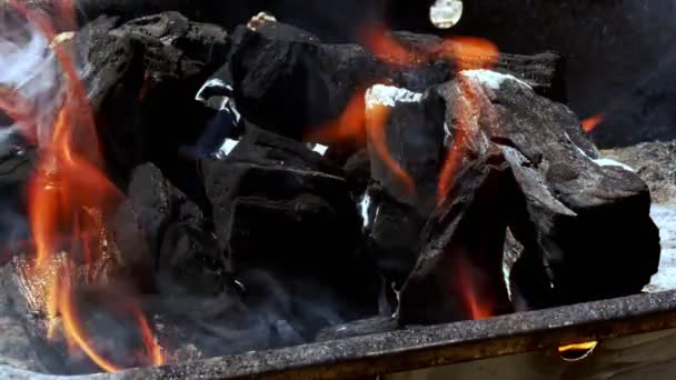 Steenkoolbrand Barbecue — Stockvideo