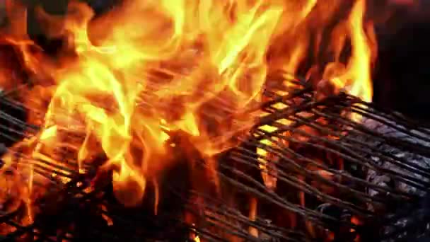 Steenkoolbrand Barbecue — Stockvideo