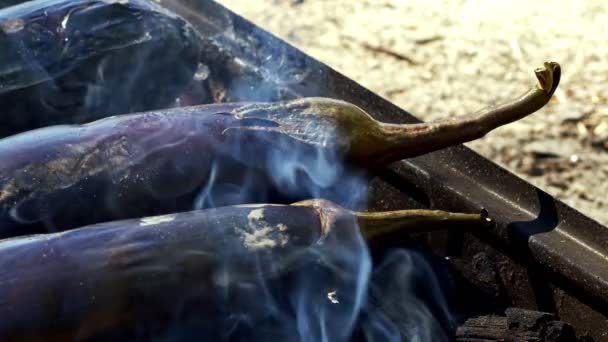 Barbekü Ateşinde Patlıcan — Stok video