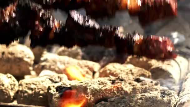 Shish Kebab Churrasco — Vídeo de Stock