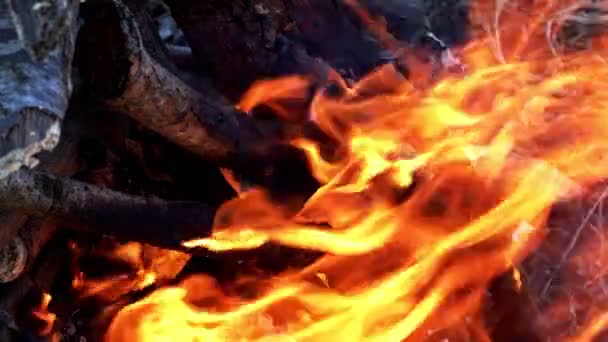 Feu Bois Brûle Comme Enfer — Video
